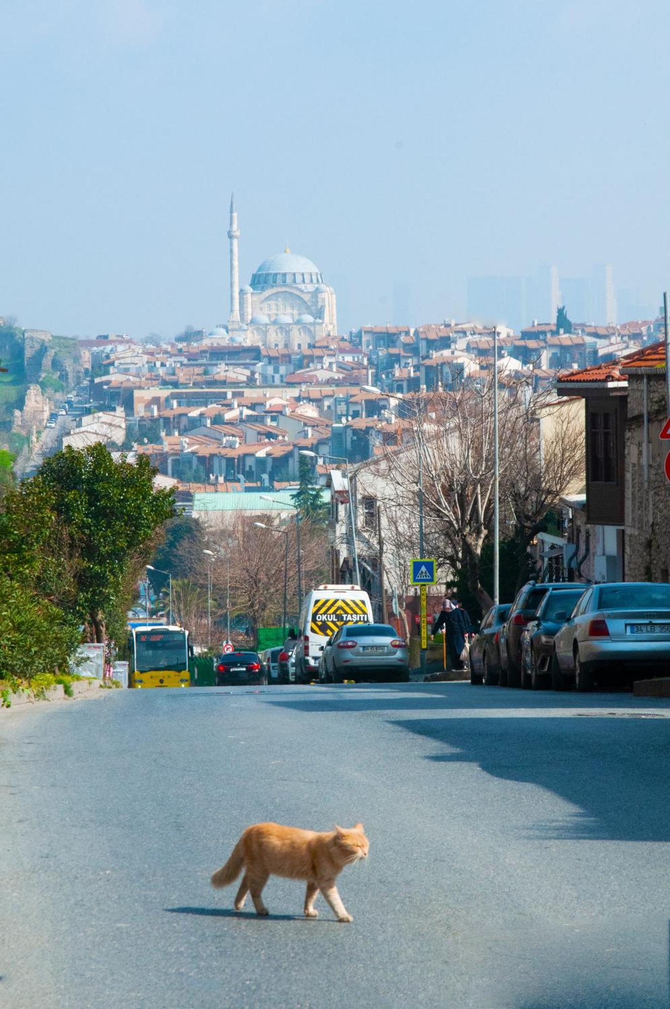 Istanbul Efes Hotel المظهر الخارجي الصورة